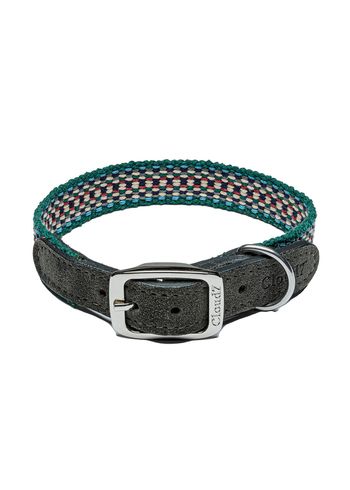 Cloud7 - Dog collars - Dog Collar Prater - Forest